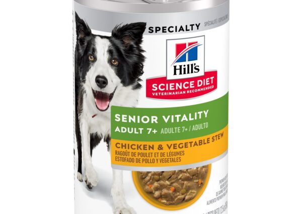 Wet vs Dry Food for Senior Dogs: Which Is Better?