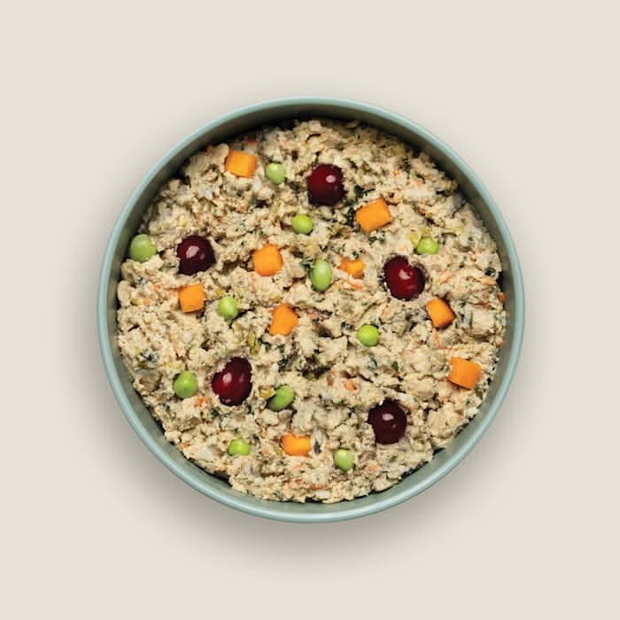 Ollie Chicken with Carrots dog food in a bowl, featuring fresh chicken, carrots, peas, and cranberries for senior dogs