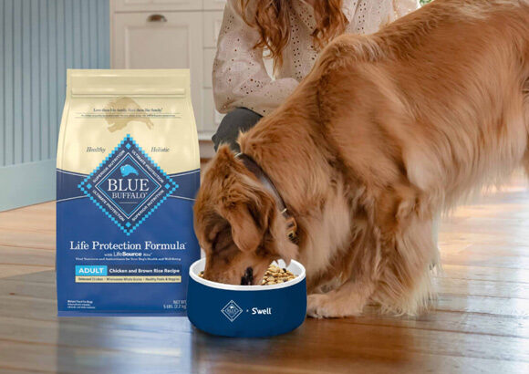 Is Blue Buffalo Senior Dog Food the Right Choice for Your Aging Pup?
