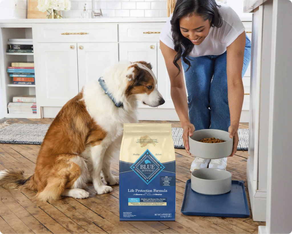 A woman serves Blue Buffalo Life Protection Formula dog food to her dog in a kitchen, with a bag of premium kibble nearby and the dog sitting attentively