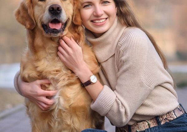 Arthritis Medicine for Dogs: What Actually Works (2026 Guide)