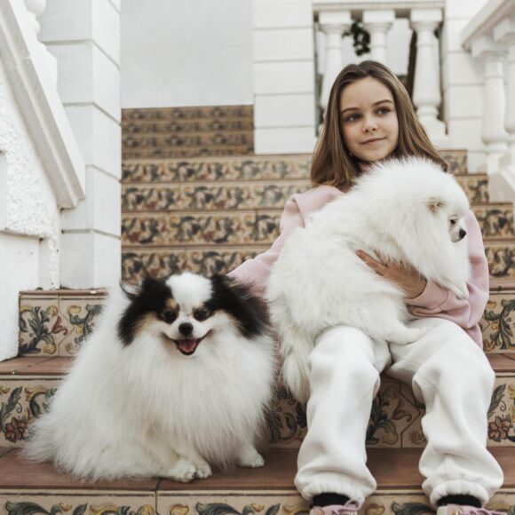 The Most Expensive Dog Breeds: 10 Luxury Companions Worth the Cost