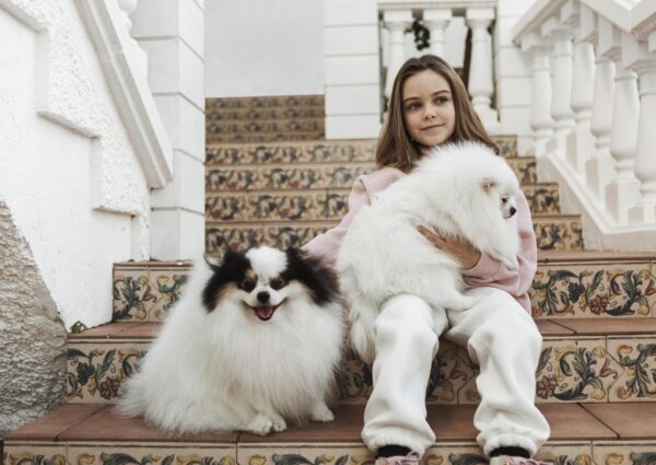 The Most Expensive Dog Breeds: 10 Luxury Companions Worth the Cost